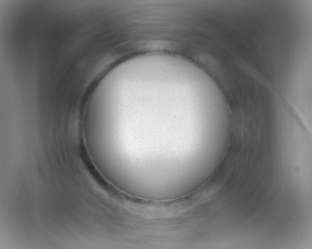 X0000054450016200508121923