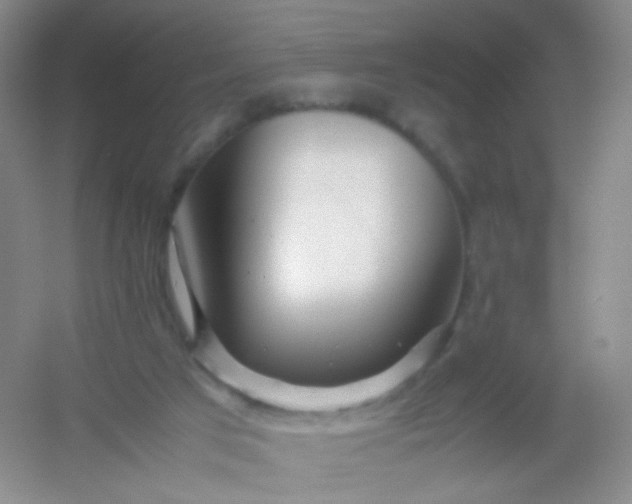 X0000054450017200508121923