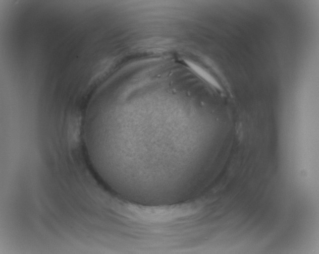 X0000054450018200508121923
