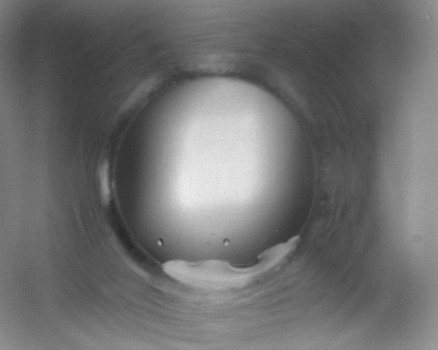 X0000054450020200508121923