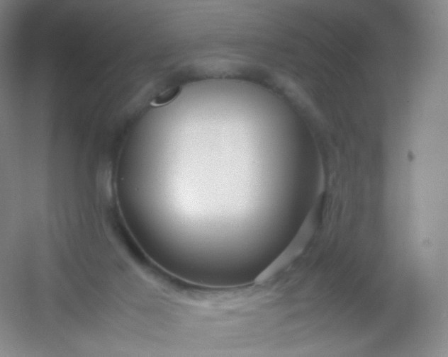 X0000054450021200508121923