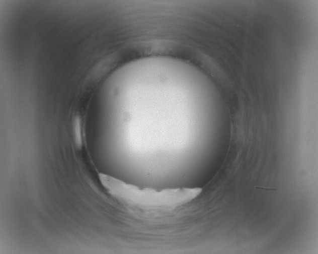X0000054450022200508121923