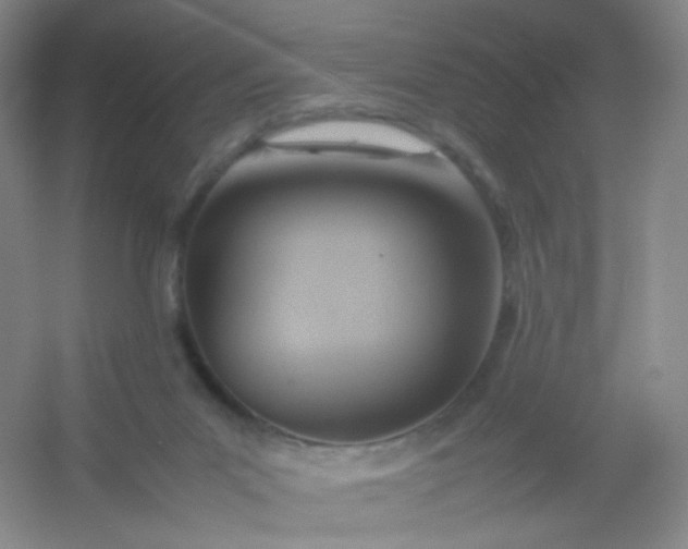 X0000054450023200508121923