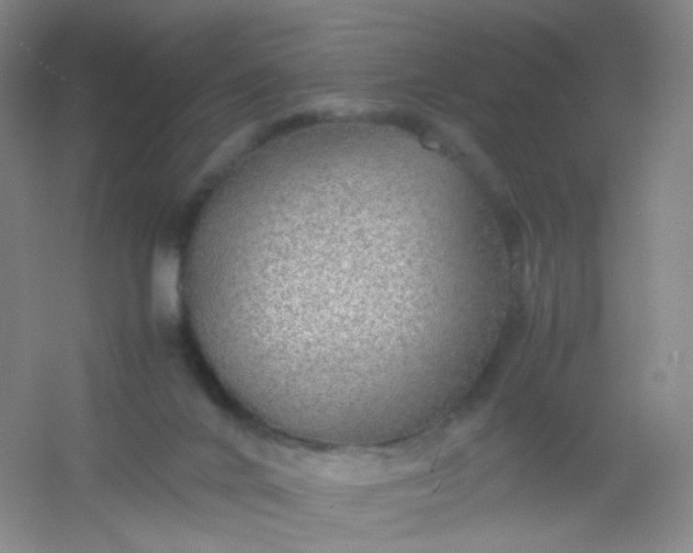 X0000054450024200508121923