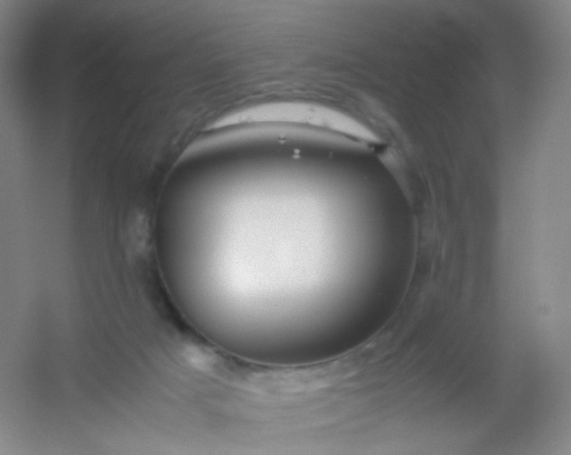 X0000054450025200508121923