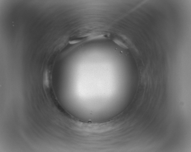 X0000054450026200508121923