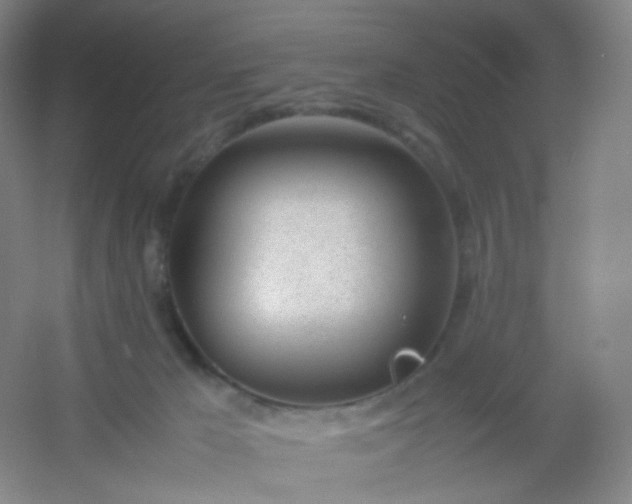 X0000054450029200508121923