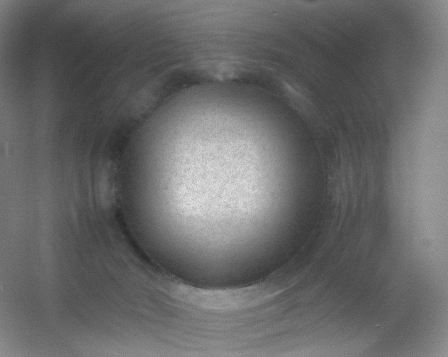 X0000054450030200508121923