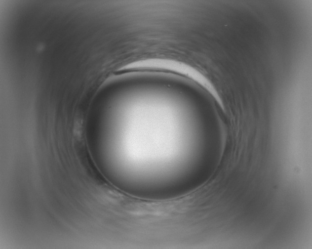 X0000054450033200508121922