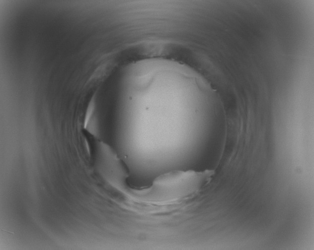 X0000054450035200508121922