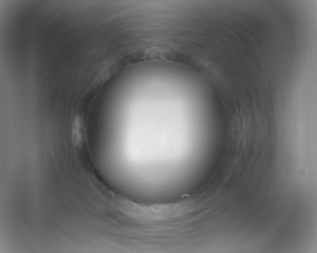 X0000054450038200508121922