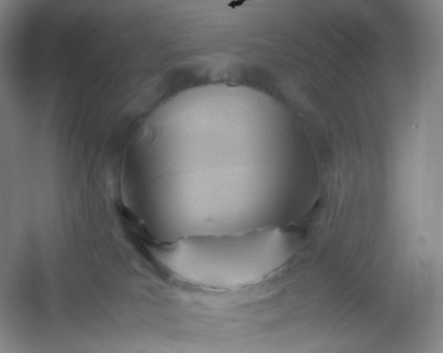 X0000054450039200508121922