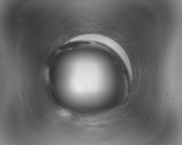 X0000054450041200508121922