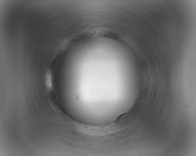 X0000054450042200508121922