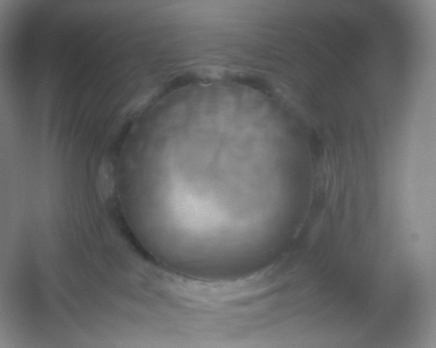 X0000054450043200508121922