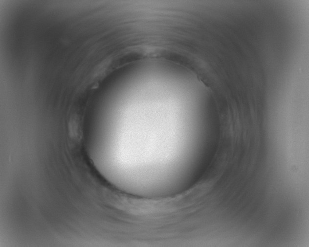 X0000054450044200508121922