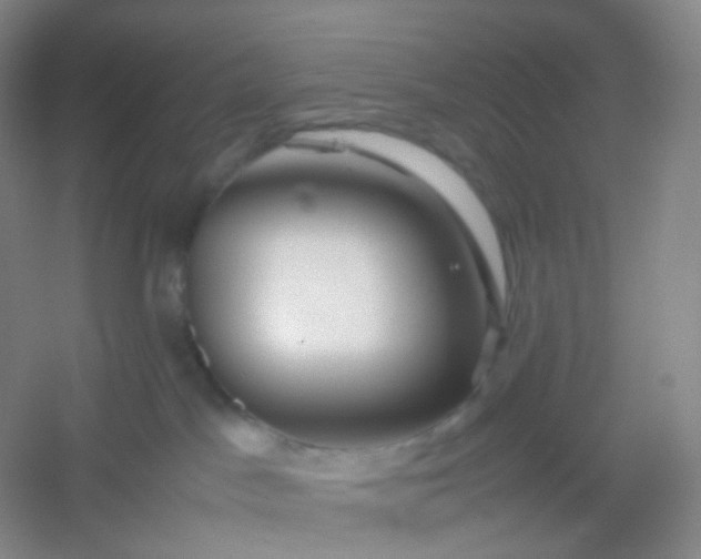 X0000054450045200508121922