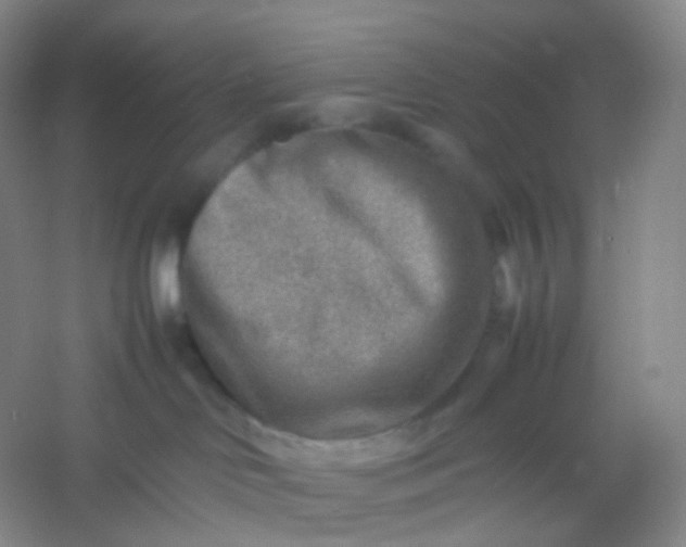 X0000054450046200508121922