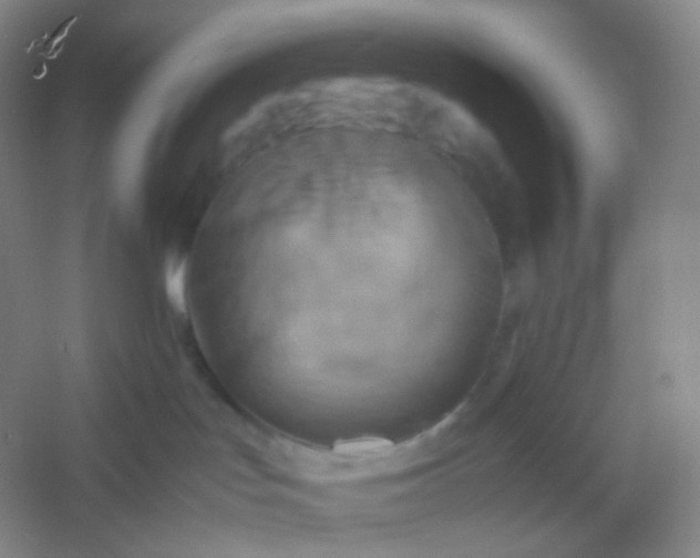 X0000054450047200508121922