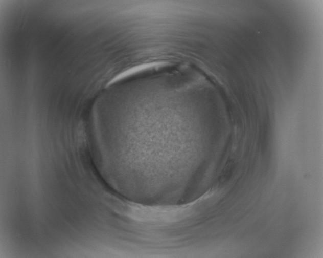 X0000054450048200508121922