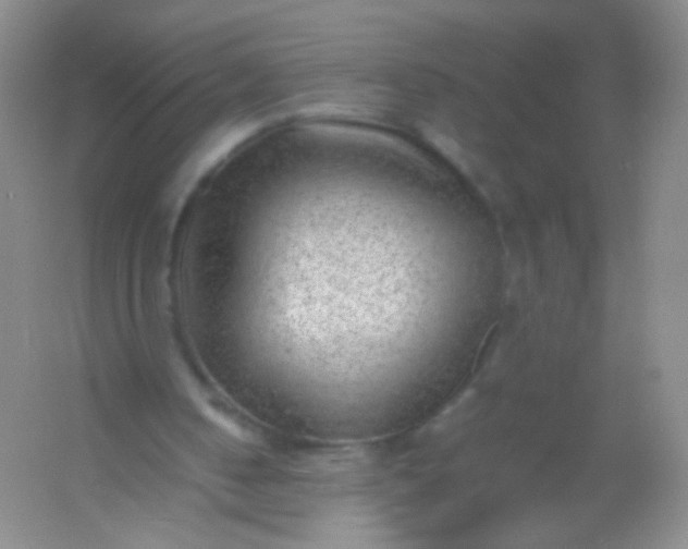X0000054450050200508121921