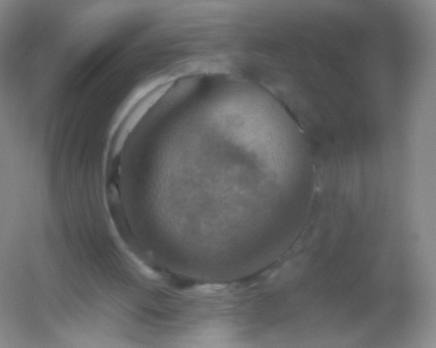 X0000054450052200508121921