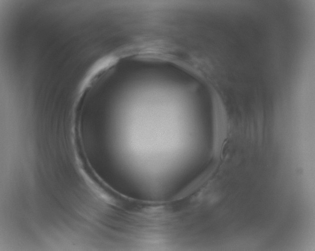 X0000054450054200508121921