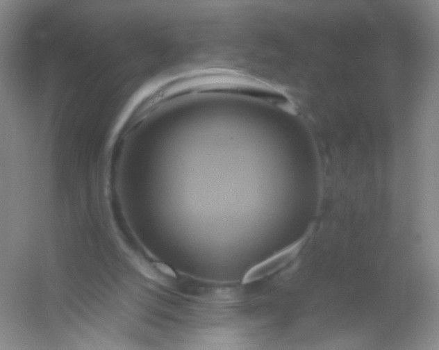X0000054450056200508121922