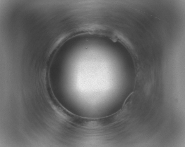 X0000054450058200508121922