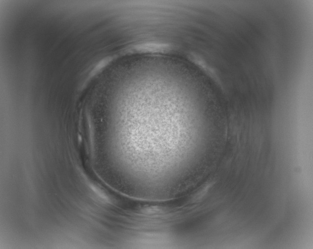 X0000054450062200508121922