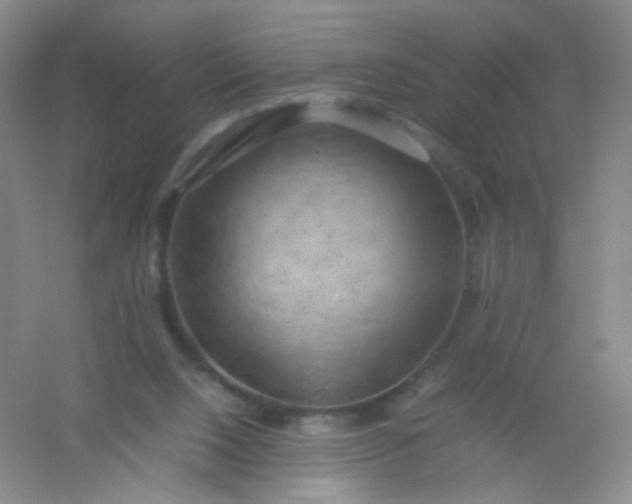 X0000054450064200508121922