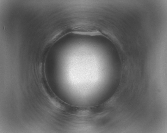 X0000054450066200508121922