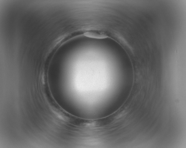 X0000054450068200508121922