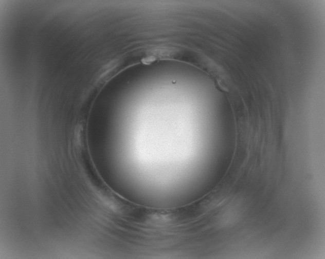 X0000054450071200508121922