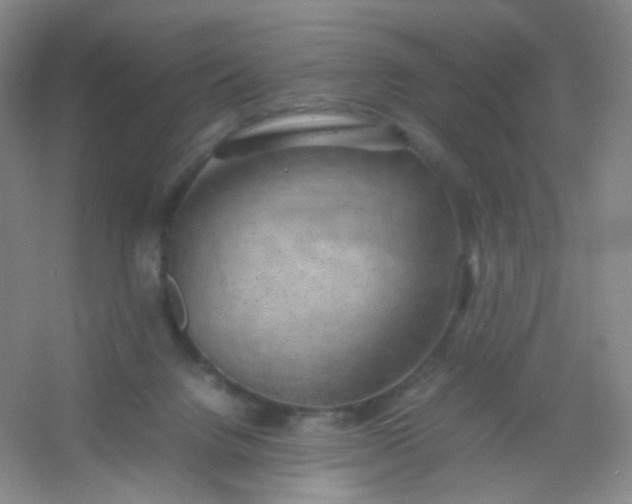 X0000054450072200508121922