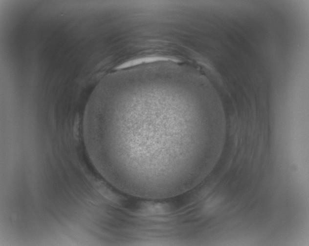 X0000054450073200508121922