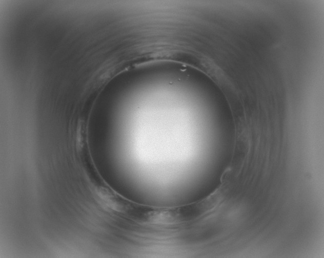 X0000054450074200508121922