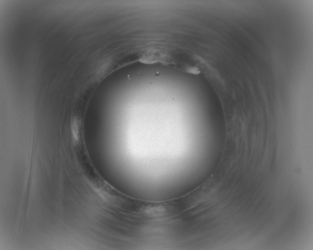 X0000054450075200508121922