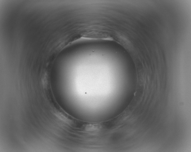 X0000054450077200508121922