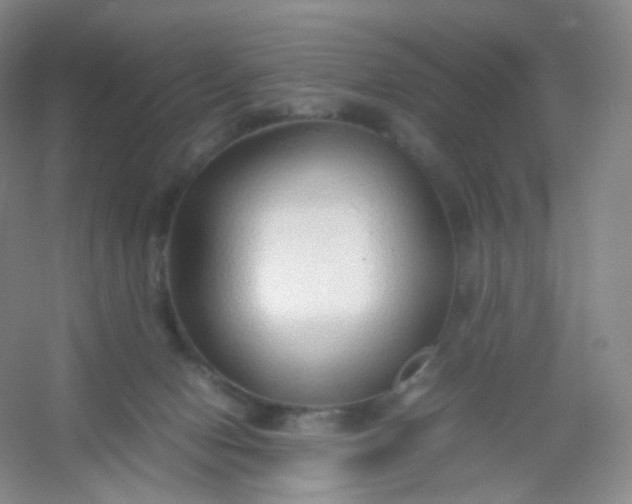 X0000054450078200508121922