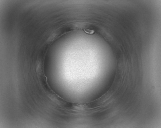 X0000054450079200508121922