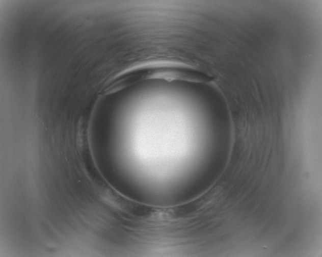 X0000054450080200508121922