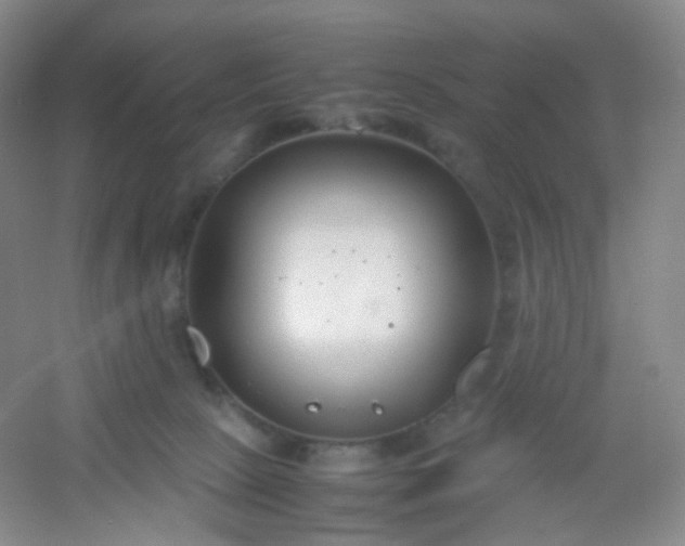X0000054450081200508121922