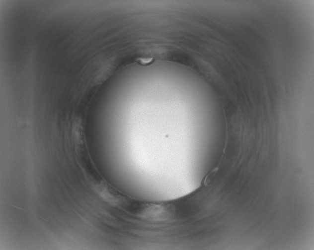 X0000054450083200508121922