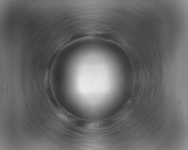X0000054450084200508121922