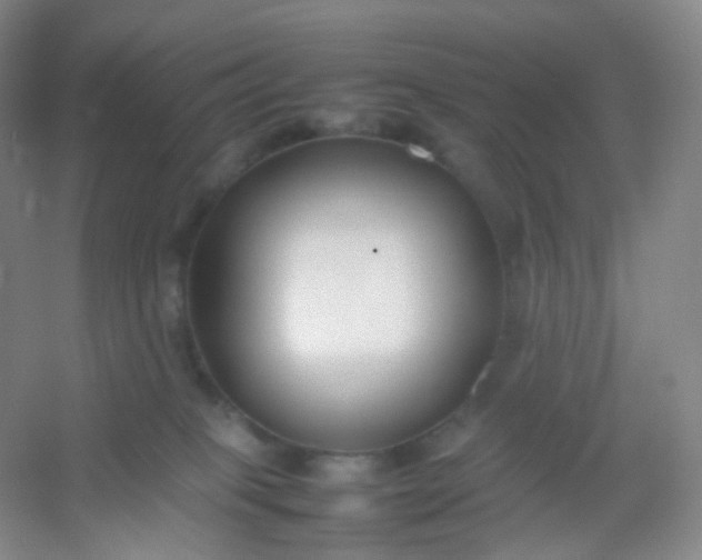 X0000054450085200508121922