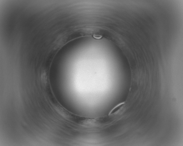 X0000054450086200508121922