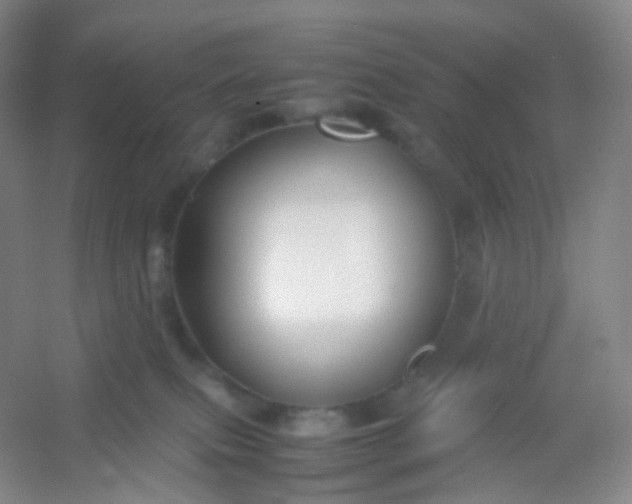 X0000054450087200508121922