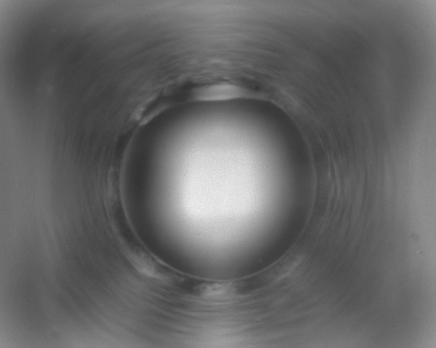 X0000054450088200508121922