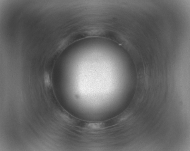 X0000054450089200508121922